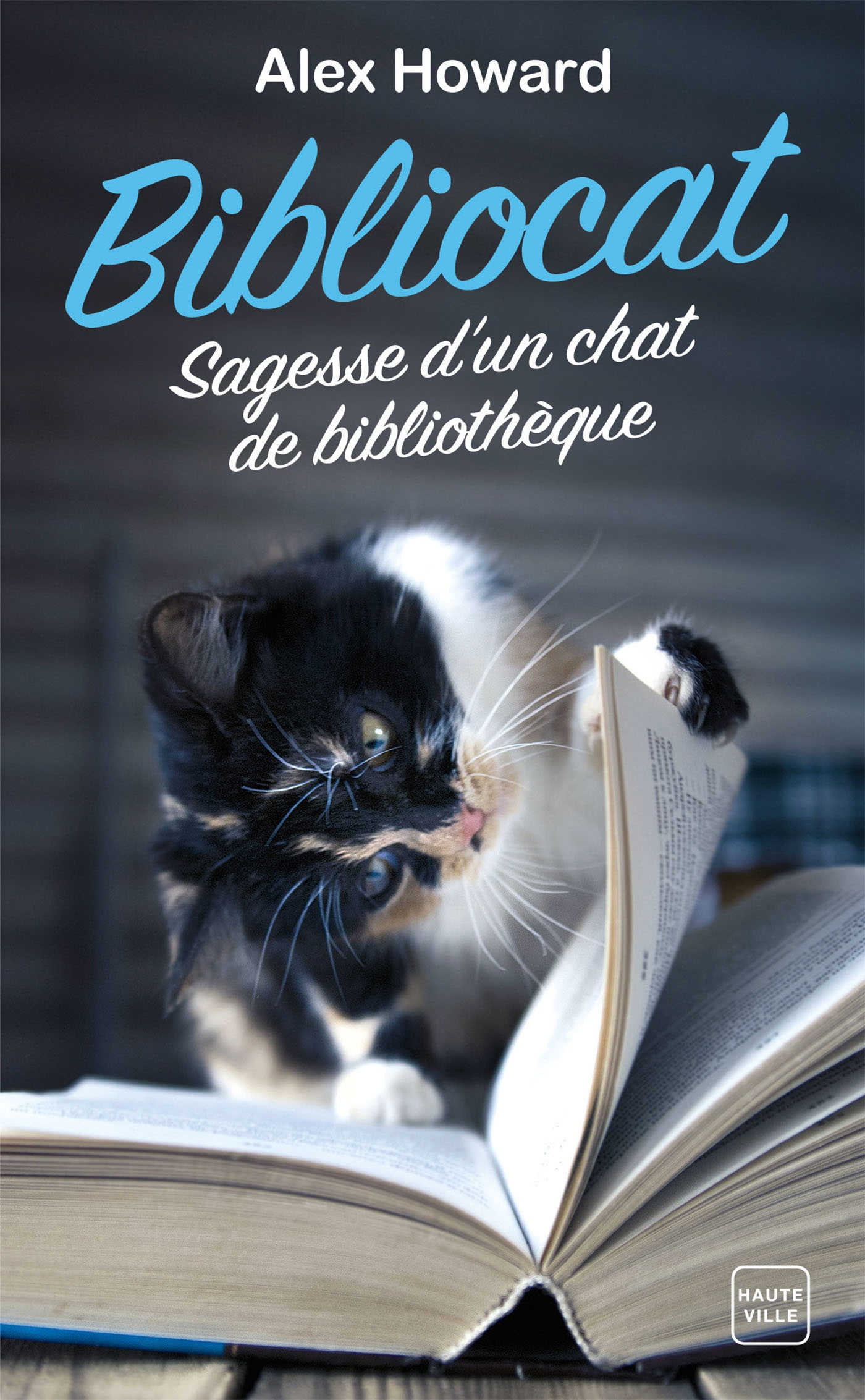 Afficher "Bibliocat : Sagesse d’un chat de bibliothèque"