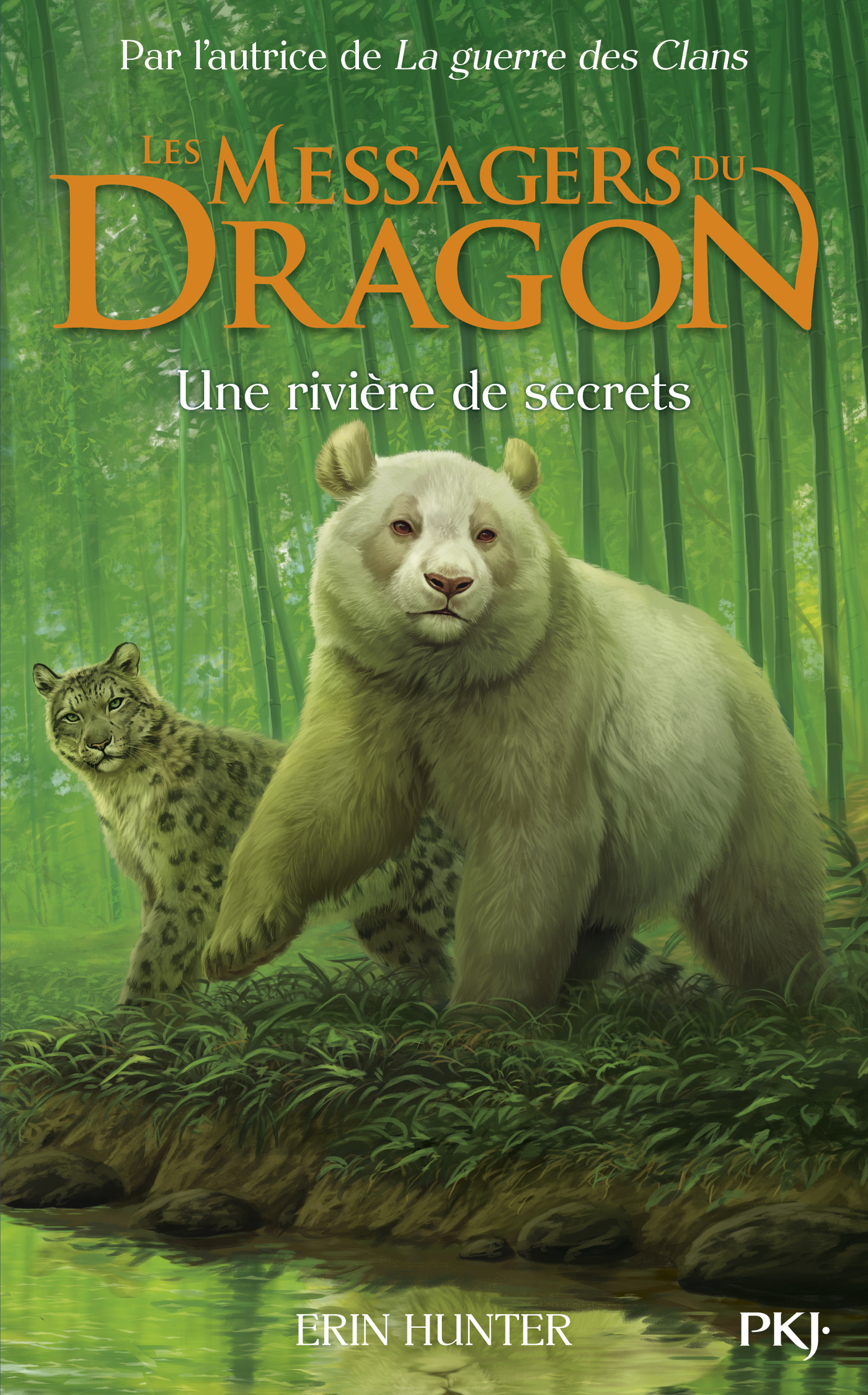 Afficher "Messagers du Dragon - tome 02 : Une rivière de secrets"