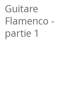 Afficher "Guitare Flamenco - partie 1"