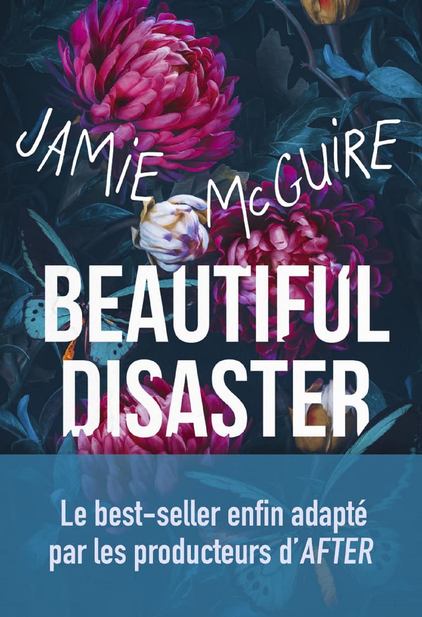 Afficher "Beautiful disaster (Joli désastre)"
