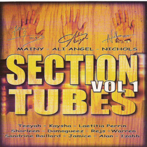 Afficher "Section tubes zouk, Vol. 1"