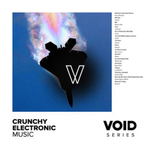 Afficher "VOID: Crunchy Electronic Music"
