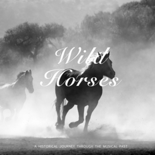 Afficher "Wild Horses"