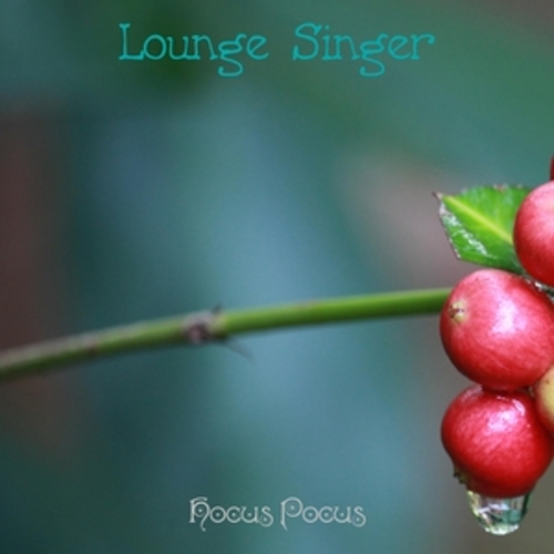 Afficher "Lounge Singer"