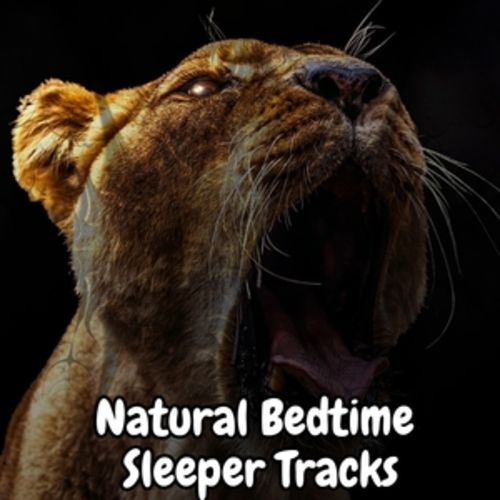 Afficher "Natural Bedtime Sleeper Tracks"