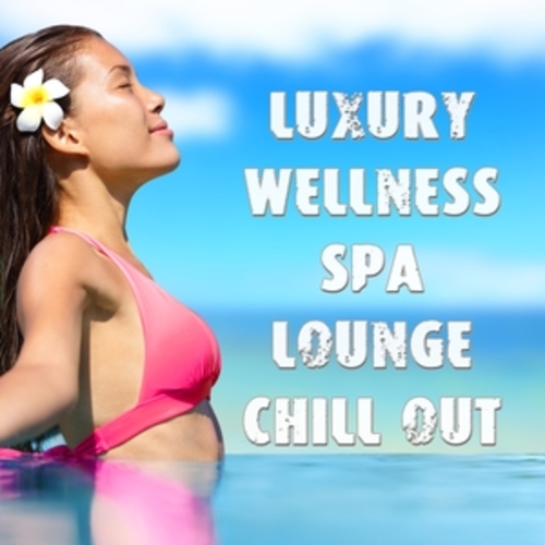 Afficher "Luxury Wellness Spa Lounge Chill Out"