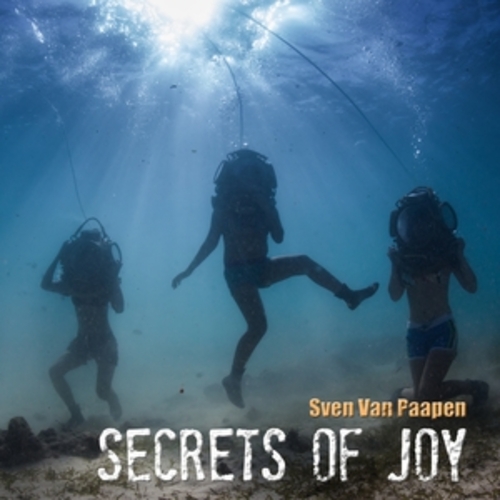 Afficher "Secrets Of Joy -Best Of"