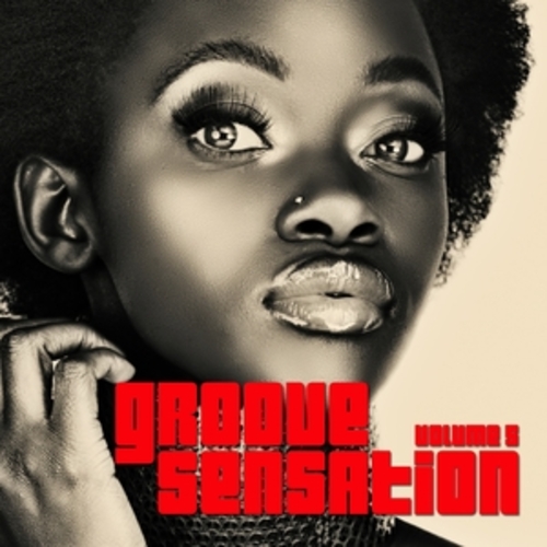 Afficher "Groove Sensation, Vol. 5"