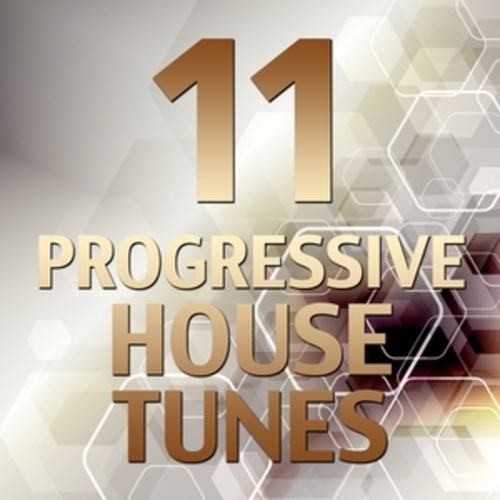 Afficher "11 Progressive House Tunes"