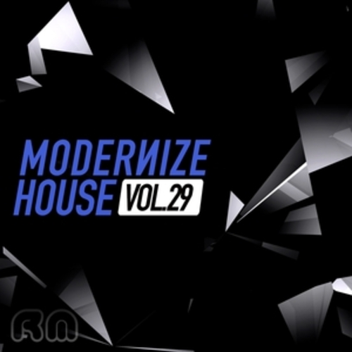 Afficher "Modernize House, Vol. 29"