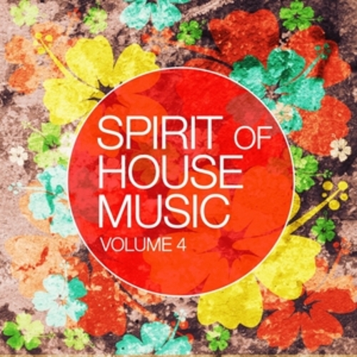 Afficher "Spirit Of House Music, Vol. 4"