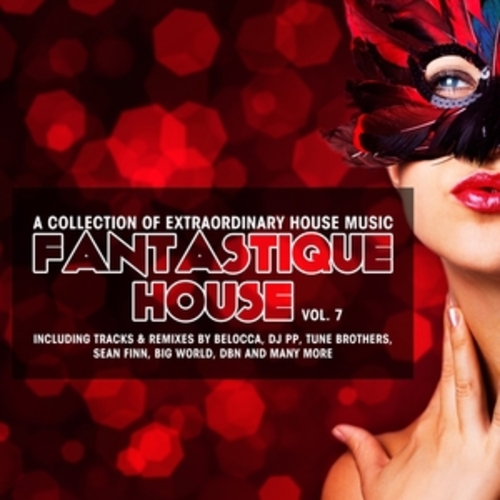 Afficher "Fantastique House Edition 7"