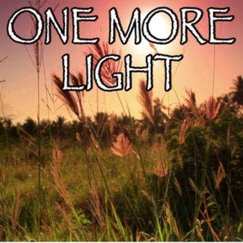 Afficher "One More Light - Tribute to Linkin Park"
