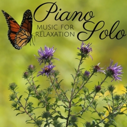 Afficher "Piano Solo - Classical Music for Relaxation"