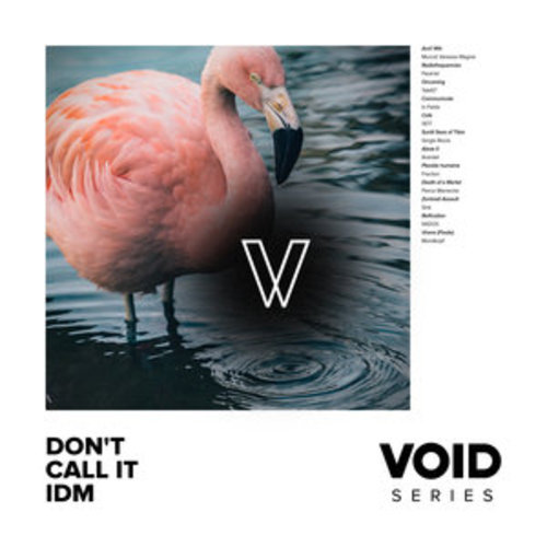 Afficher "VOID: Don't Call It IDM"