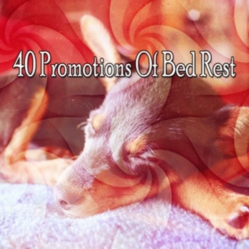 Afficher "40 Promotions Of Bed Rest"