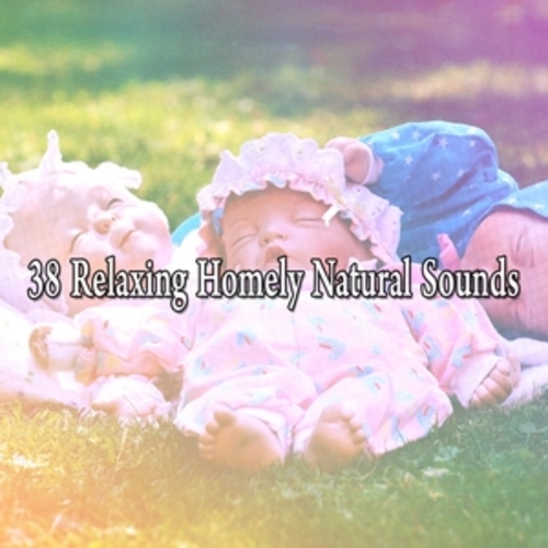 Afficher "38 Relaxing Homely Natural Sounds"