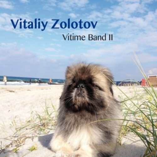 Afficher "Vitime Band II"