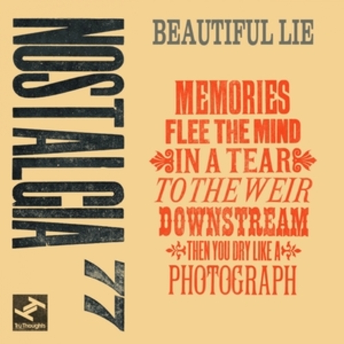 Afficher "Beautiful Lie - EP"