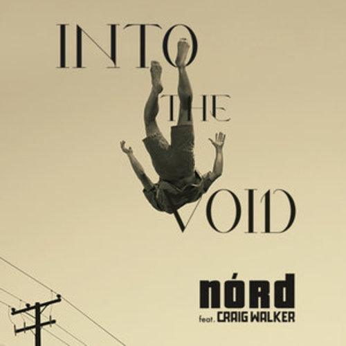 Afficher "Into the Void"