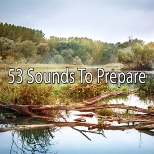 Afficher "53 Sounds To Prepare"