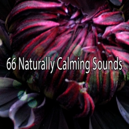 Afficher "66 Naturally Calming Sounds"