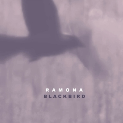 Afficher "Blackbird"