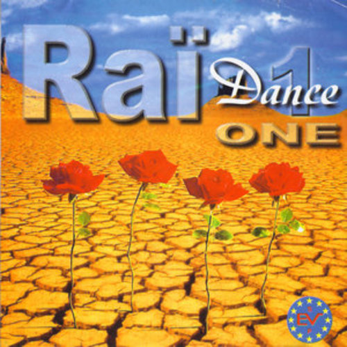 Afficher "Raï Dance, Vol. 1"