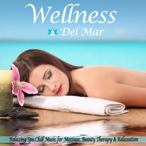 Afficher "Wellness Del Mar"