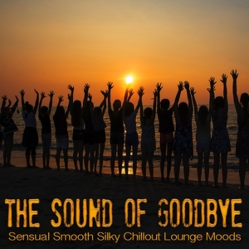 Afficher "The Sound Of Goodbye"