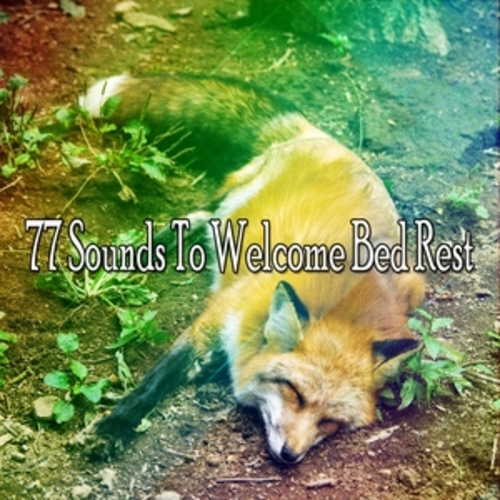 Afficher "77 Sounds To Welcome Bed Rest"