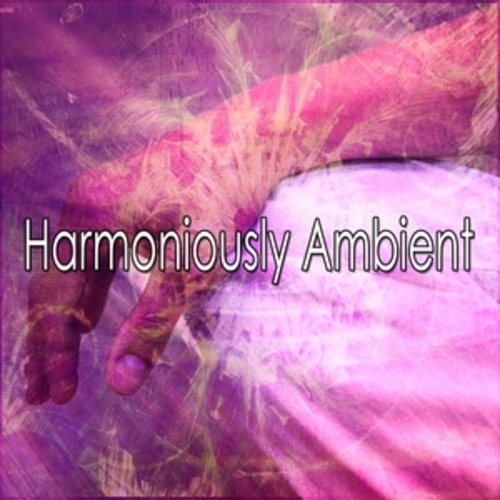 Afficher "Harmoniously Ambient"