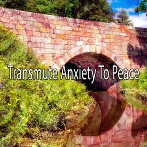 Afficher "Transmute Anxiety To Peace"