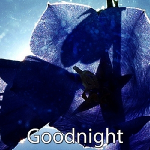 Afficher "Goodnight"