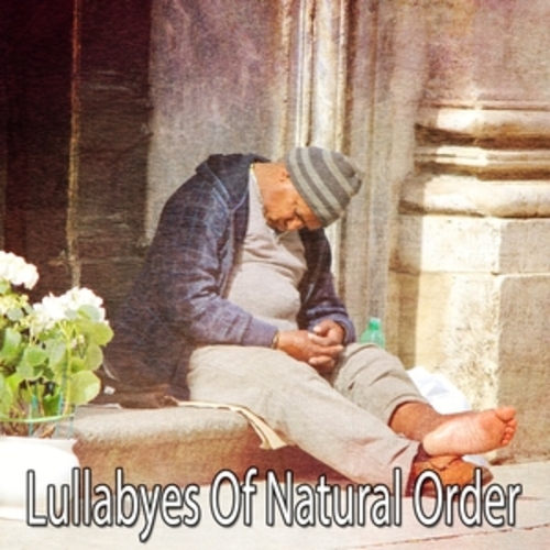 Afficher "Lullabyes Of Natural Order"