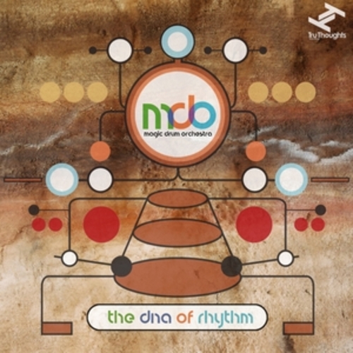 Afficher "The DNA of Rhythm"