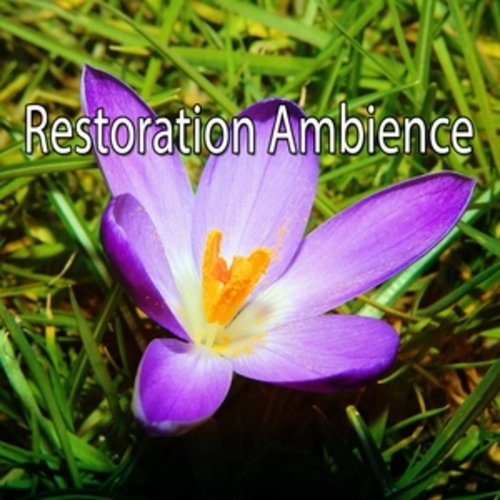 Afficher "Restoration Ambience"
