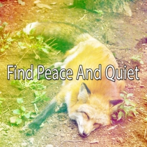 Afficher "Find Peace And Quiet"