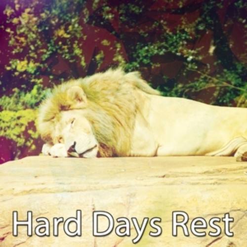 Afficher "Hard Days Rest"