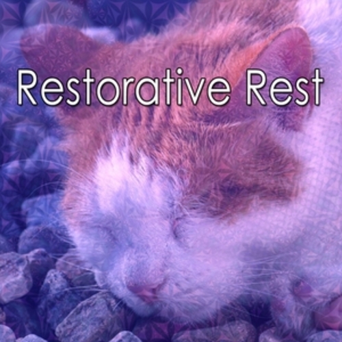 Afficher "Restorative Rest"