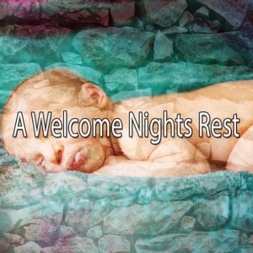 Afficher "A Welcome Nights Rest"