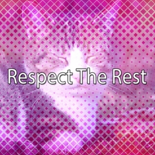 Afficher "Respect The Rest"