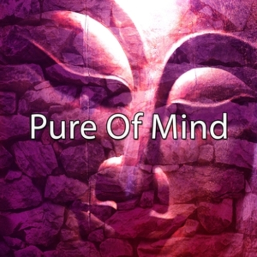 Afficher "Pure Of Mind"