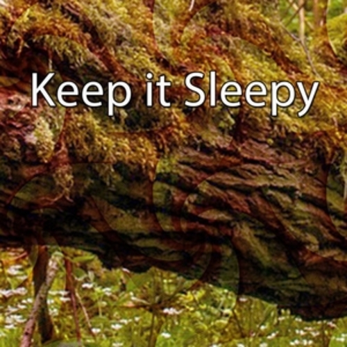Afficher "Keep it Sleepy"