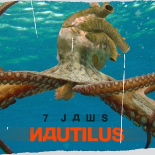 Afficher "Nautilus"