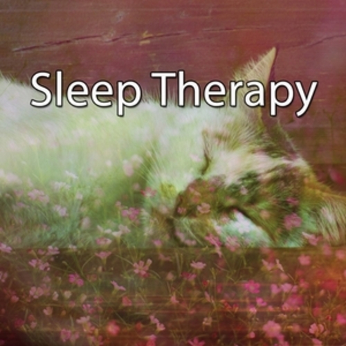 Afficher "Sleep Therapy"