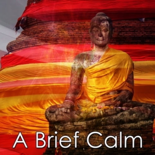 Afficher "A Brief Calm"