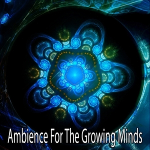 Afficher "Ambience For The Growing Minds"