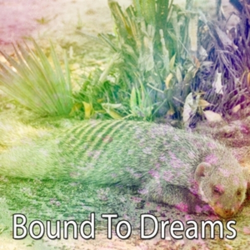 Afficher "Bound To Dreams"