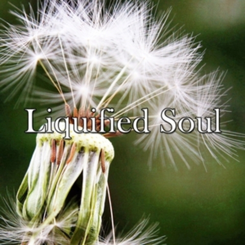 Afficher "Liquified Soul"